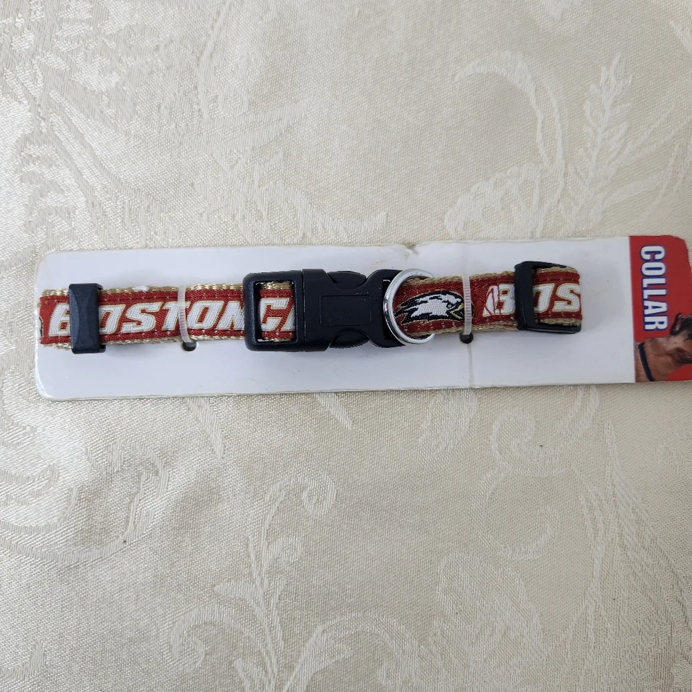 Collegiate Boston Collage Eagles Medium Dog Collar